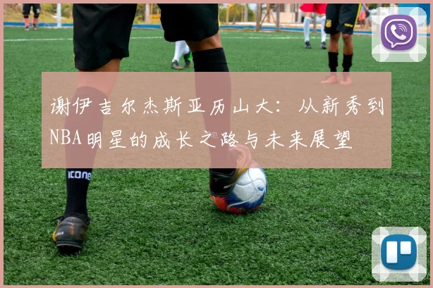 谢伊吉尔杰斯亚历山大：从新秀到NBA明星的成长之路与未来展望