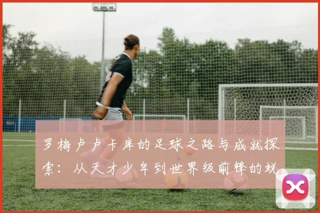 罗梅卢卢卡库的足球之路与成就探索：从天才少年到世界级前锋的蜕变