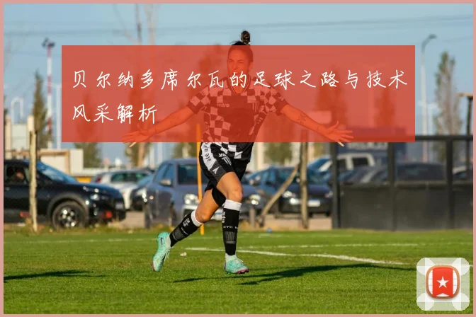 贝尔纳多席尔瓦的足球之路与技术风采解析