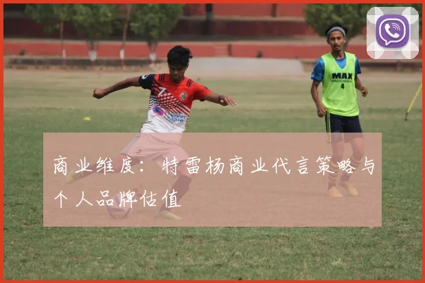 商业维度：特雷杨商业代言策略与个人品牌估值