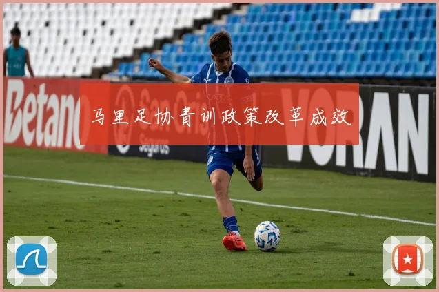 马里足协青训政策改革成效