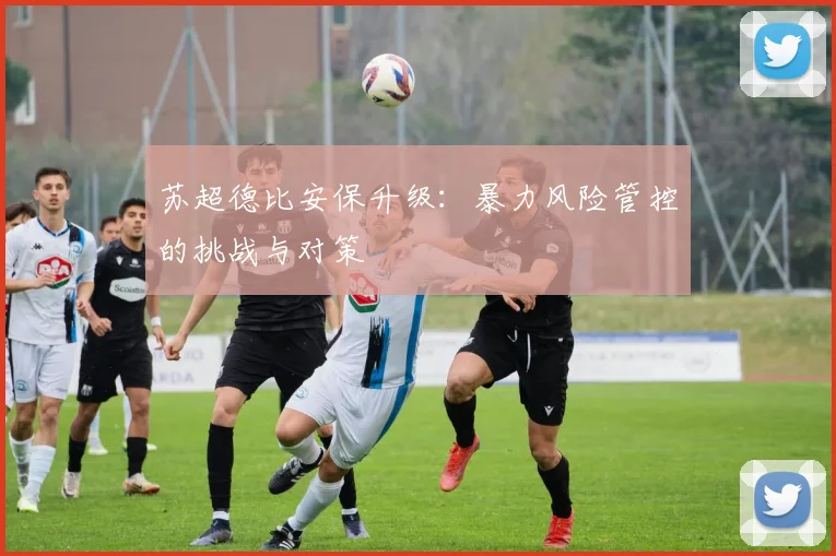 苏超德比安保升级：暴力风险管控的挑战与对策