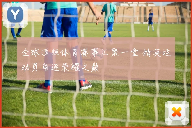 全球顶级体育赛事汇聚一堂 精英运动员角逐荣耀之巅