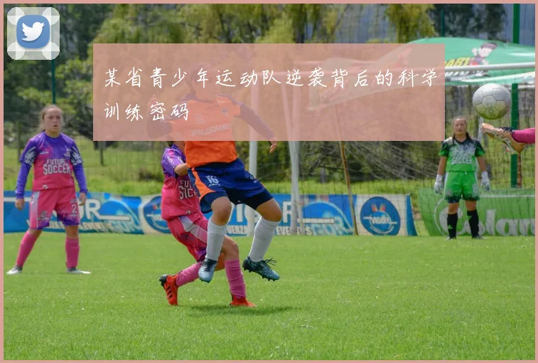 某省青少年运动队逆袭背后的科学训练密码